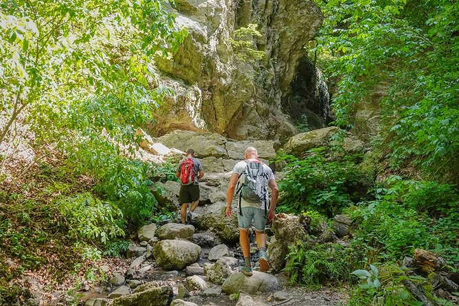 Ram Gorge Hiking Adventure Natures Playground Near Budapest - What the Ram Gorge Trail Feels Like: Forest Shade, Streams, and Careful Footing