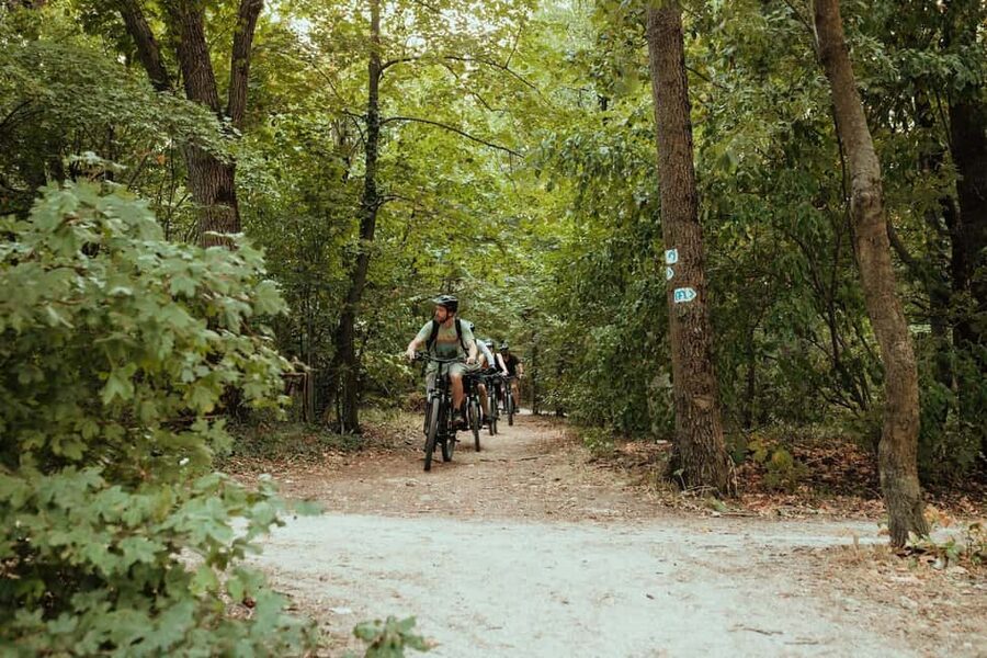 Semi-Private Off-Road eBike Tour in The Buda Hills - Why this Buda Hills eBike ride beats the typical city tour