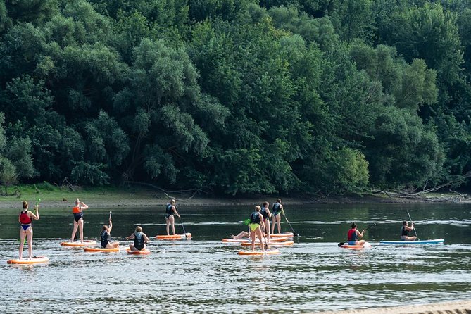 SUP Budapest: Sunset tour - Current, group pace, and why it can feel slower than you expect