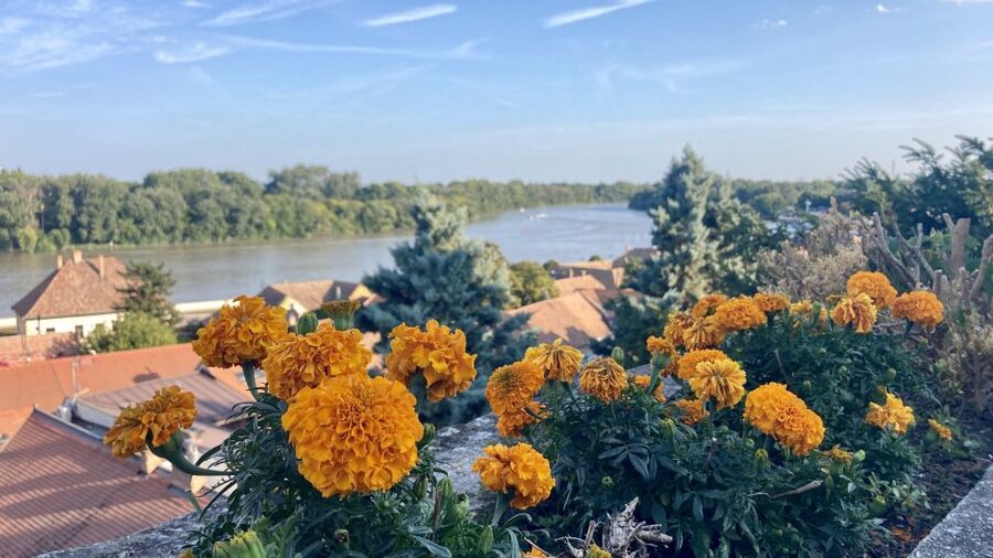 Szentendre: Arts and Cafés Tour (Half-Day Private Tour) - What I think the guide experience is really like