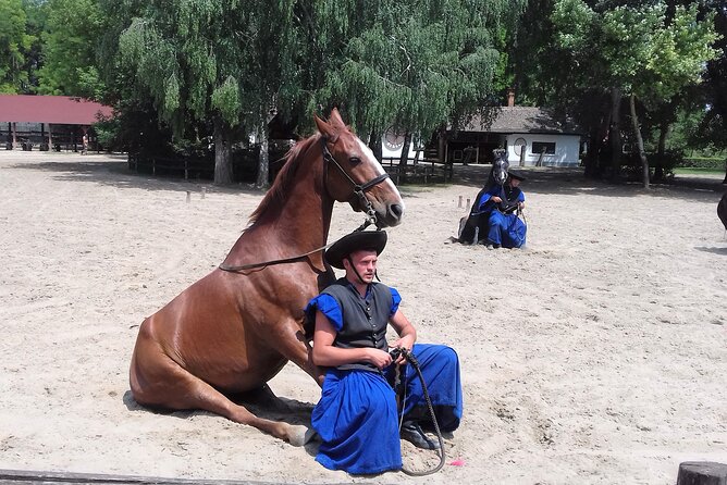 The "Puszta" Horse Show - Key Points to Know Before You Go