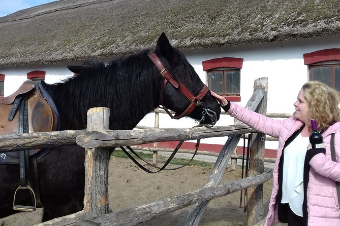 The "Puszta" Horse Show - A Day in the Hungarian Great Plain, Not Just a Performance