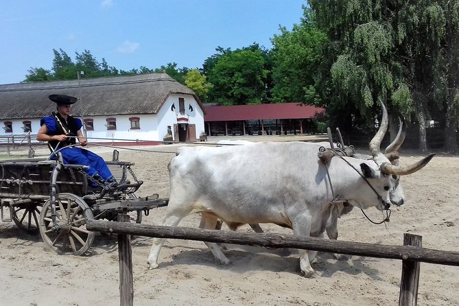 The "Puszta" Horse Show - The Puszta Horse Show: What You Are Really Paying For