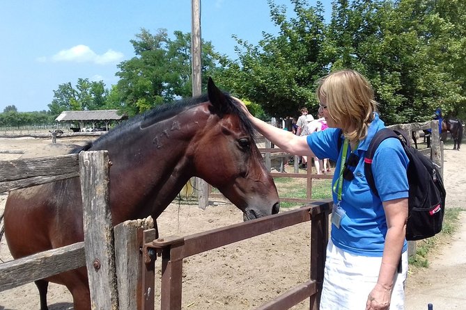 The "Puszta" Horse Show - Lunch in Hungary: Why This Meal Matters in the Value Equation