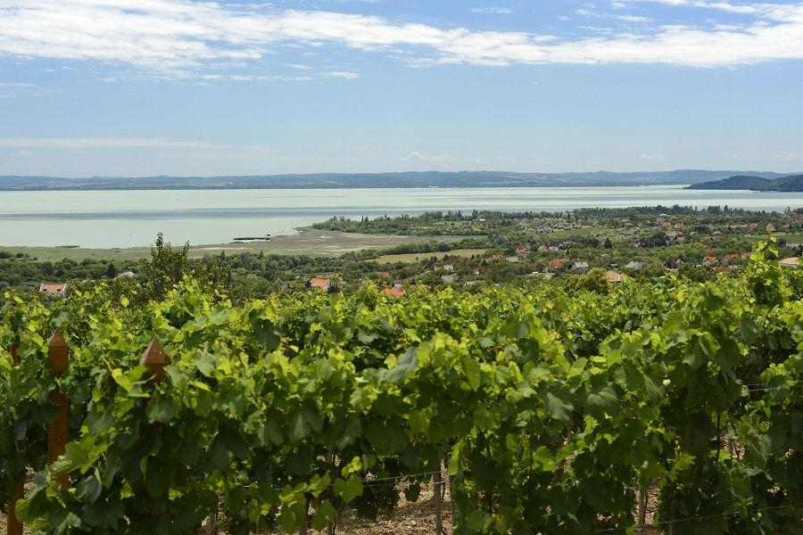 The Turquoise Sea of Hungary: Lake Balaton Private Tour - Key highlights worth waking up for
