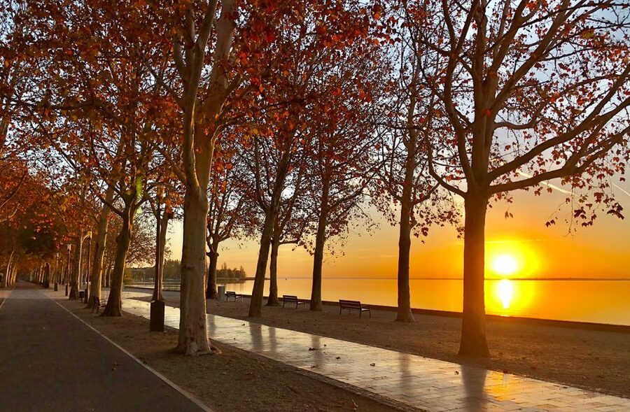 The Turquoise Sea of Hungary: Lake Balaton Private Tour - Who should book the Lake Balaton and Tihany private tour