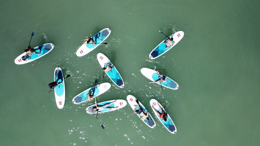 Tihany: SUP Course and Tour at Lake Balaton - Key highlights you’ll feel on the water