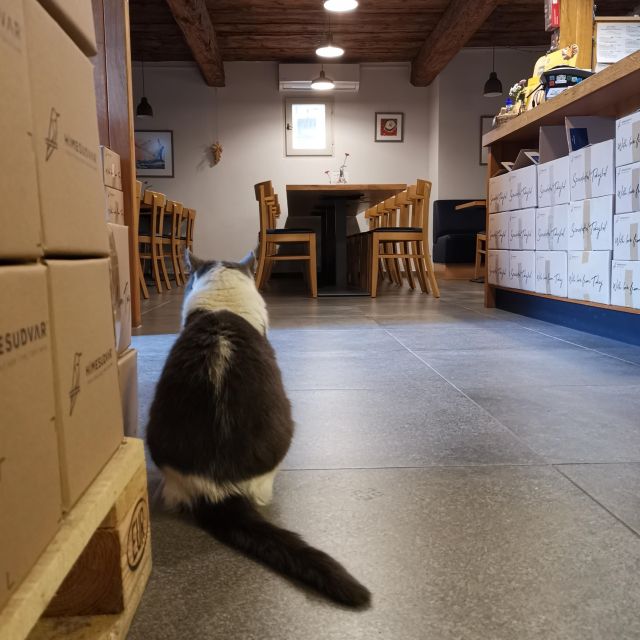 Tokaj: Classic Wine Tasting - Snacks that actually help you taste: cheese, bread, and olives