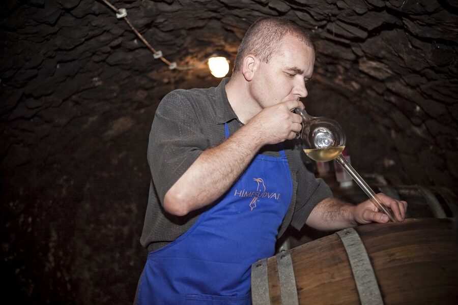 Tokaj: Classic Wine Tasting - Learning the process and terroir, without the jargon trap