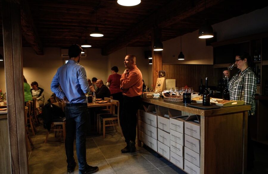 Tokaj: Classic Wine Tasting - Language options, guide style, and the pace of the experience