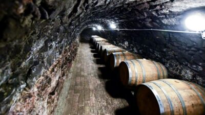 Vineyard Tour & Tasting