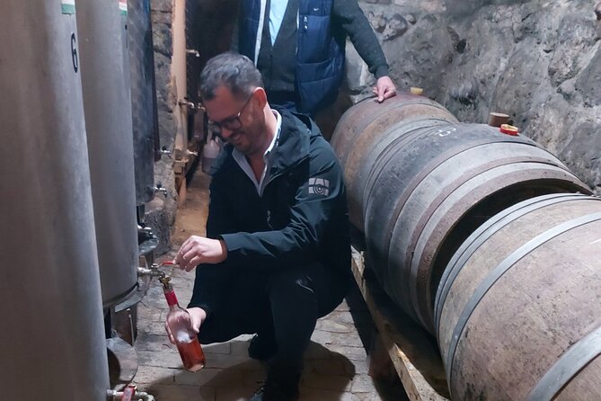 Wine Tasting in the Countryside from Budapest - Key Things You’ll Notice On This Wine Tasting Trip