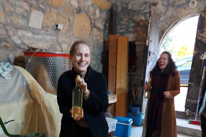 Wine Tasting in the Countryside from Budapest - The Food Pairing: Sausages, Cheese, Olives, and More