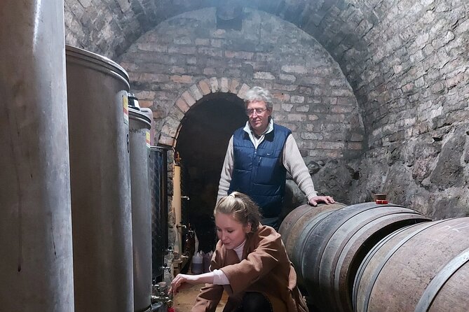 Wine Tasting in the Countryside from Budapest - Your Guide Makes the Day: Miklós Csizmadia in Plain English